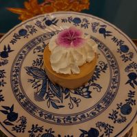  at Sementis in Pietrasanta