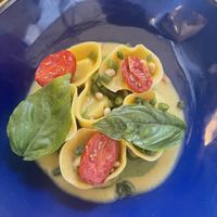   at Sementis in Pietrasanta