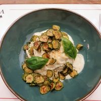  at Sementis in Pietrasanta