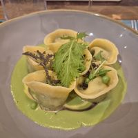  at Sementis in Pietrasanta