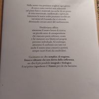  at Sementis in Pietrasanta