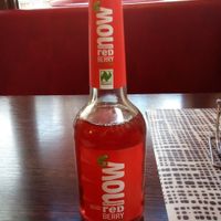 Bio soda at Rosin's Imbiss in Lindau