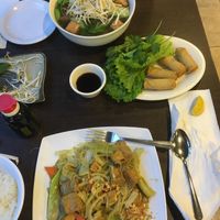 vegan curry tofu and pho at Simply Pho in Houston