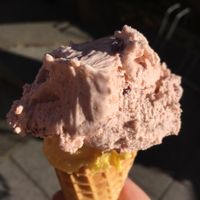 scoops are huge! plum-cinnamon + pumpkin at Werners Eiscafe in Wismar