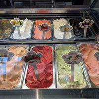 8 vegane Eissorten at Werners Eiscafe in Wismar