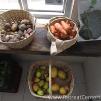 Fresh veggies at Metkalu Mercado Consciente, Diverso & Local in Bogota