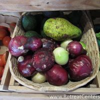 Fresh veggies at Metkalu Mercado Consciente, Diverso & Local in Bogota