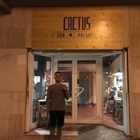 Cactus at Cactus in Palamos
