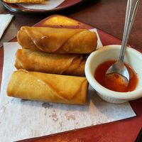 Spring rolls at Best Thai Cuisine in Florence
