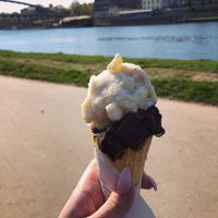 Fruit sorbet and chocolate flavour.  at Good Lood in Krakow