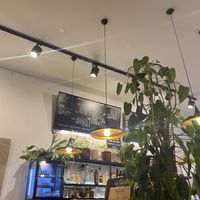   at The Sister in Brussels