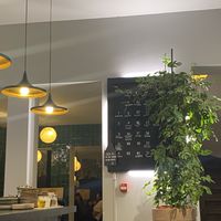   at The Sister in Brussels