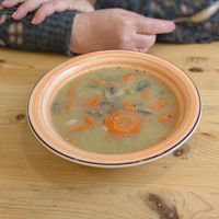 Daily menu: vegetable soup with tarragon at Eletkert - Garden Life in Szombathely