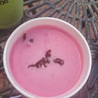 Cherry coconut ice cream at Agora Downtown Coffee Shop in Fredericksburg