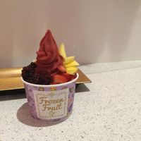 Raspberry & Orange FroFru at Frozen Fruit Co in Santa Monica