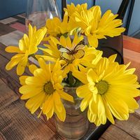  at Particle Cafe in Avondale Heights