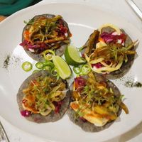  at Stem & Glory in Cambridge