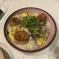 King Oyster Scallops  at Stem & Glory in Cambridge