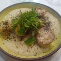 King Oyster scallops on cauliflower purée at Stem & Glory in Cambridge