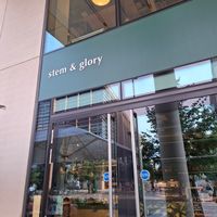  at Stem & Glory in Cambridge