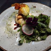 Yummi Vegeterian Food at Velobis in Vienna