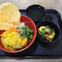 Curry over rice with their special Hakka yong tau fu on the side at FIREFLY 萤火虫 by Thunder Tree in Central Singapore