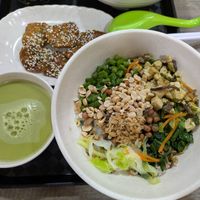 Thunder tea rice at FIREFLY 萤火虫 by Thunder Tree in Central Singapore