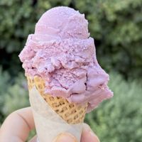 Wild Berry on vegan cone   at Rori's Creamery in Santa Barbara