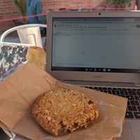 Cowboy Cookie! Vegan and so amazing. at Handlebar Coffee Roaster in Santa Barbara
