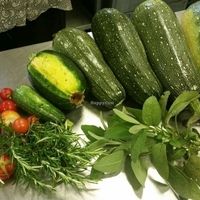 Fresh Vegetables  at Food Not Bombs in Cardiff