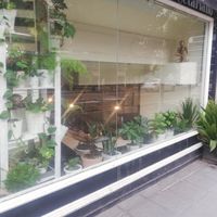 Front at Natu in Santander