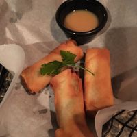 Spring Rolls at Sushi 101 Bar & Grill in Tempe