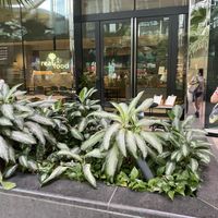 Storefront!  at Real Food 真食 - South Beach in Central Singapore