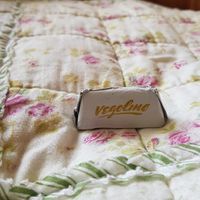 Betthupferl   at Elfengaststube in Viezen