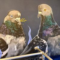 . at Tofurei in Norwich