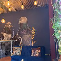 I’m a big fan of the pigeon mural here  at Tofurei in Norwich