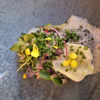  at Bij Albrecht in Eindhoven