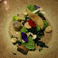 A dish at the restaurant at Bij Albrecht in Eindhoven