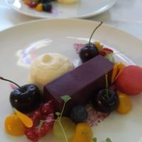 Berry panacotta at Bij Albrecht in Eindhoven