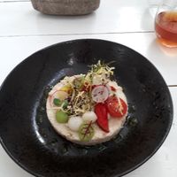 Appetizer at Bij Albrecht in Eindhoven