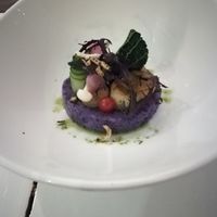 First course (5-course menu, Feb 2019) at Bij Albrecht in Eindhoven
