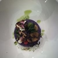 First course (5-course menu, Feb 2019) at Bij Albrecht in Eindhoven