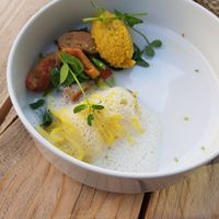 "Schrimps" mushrooms at Bij Albrecht in Eindhoven