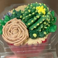 Takeaway edible cacti garden😉 at Missy's Vegan Cupcakes in Edinburgh