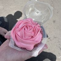  Strawberry daiquiri   at Missy's Vegan Cupcakes in Edinburgh