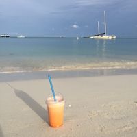 Flu Buster at Eduardo's Beach Shack in Palm Beach