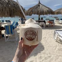 Fresh coconut  at Eduardo's Beach Shack in Palm Beach