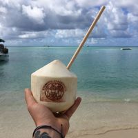 Coconuts 😎 at Eduardo's Beach Shack in Palm Beach