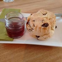 vegan scone, gluten free also at Simply Nood in Bridge Of Allan