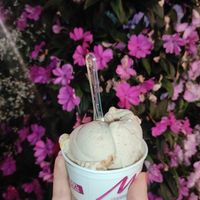 Noci e Fichi at Gelateria Malu in Jesolo